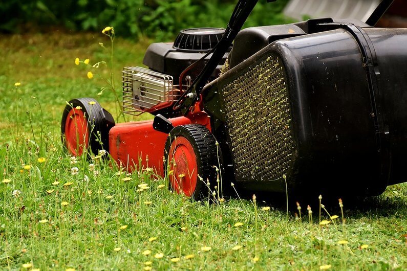 Reliable Lawn Service in Greeneville TN