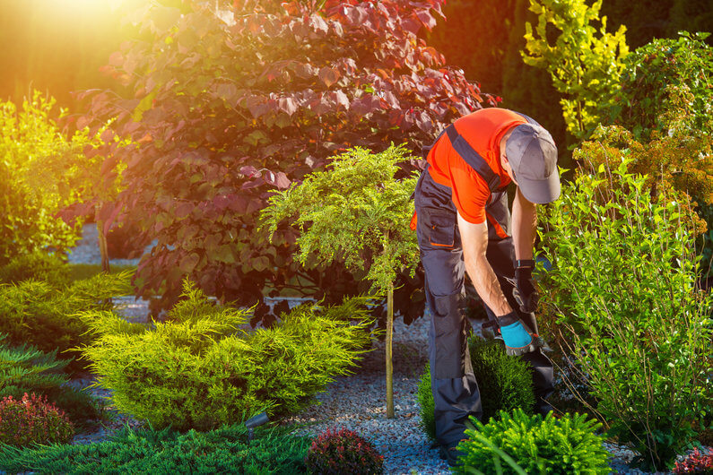 Landscape Designer in Greeneville TN