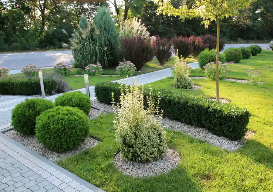 How Landscape Maintenance Service Improves Long Term Yard Health in Greeneville, TN