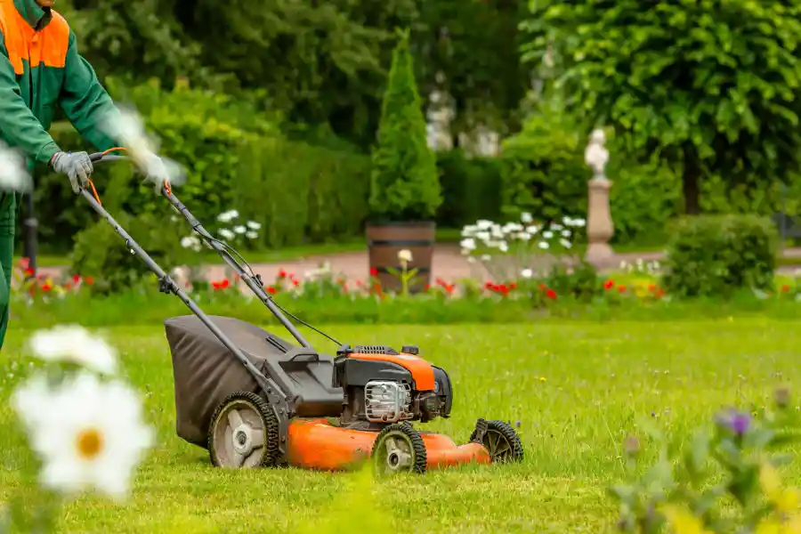Landscape Maintenance Service