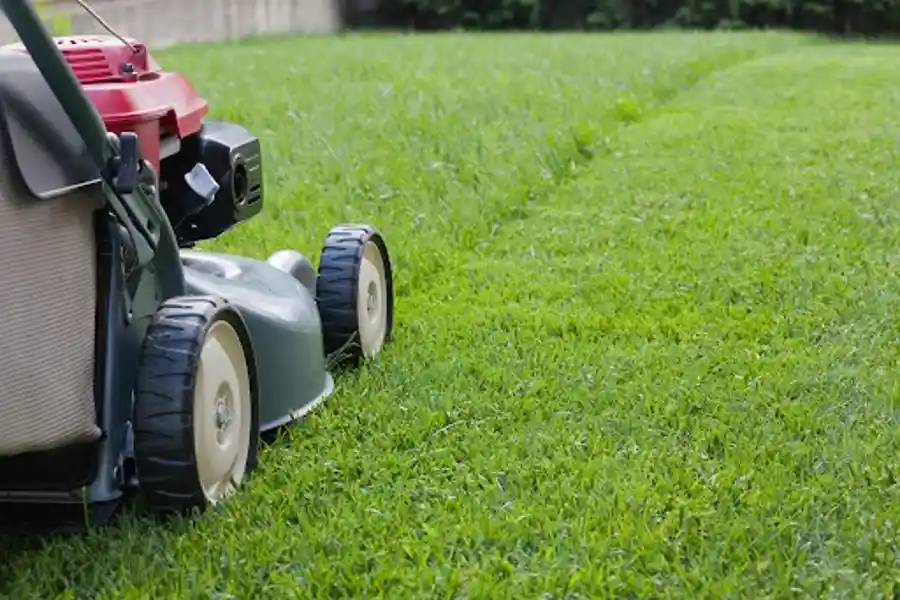 Lawn Mowing Service