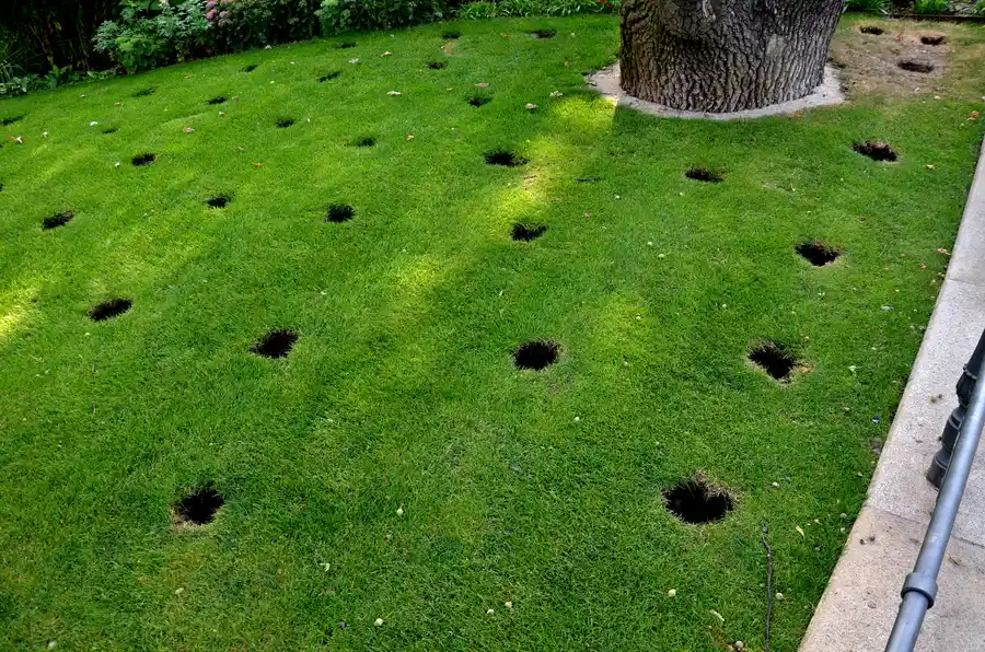 Local Lawn Aeration Service Greeneville, TN Local Lawn Aeration Service Greeneville, TN