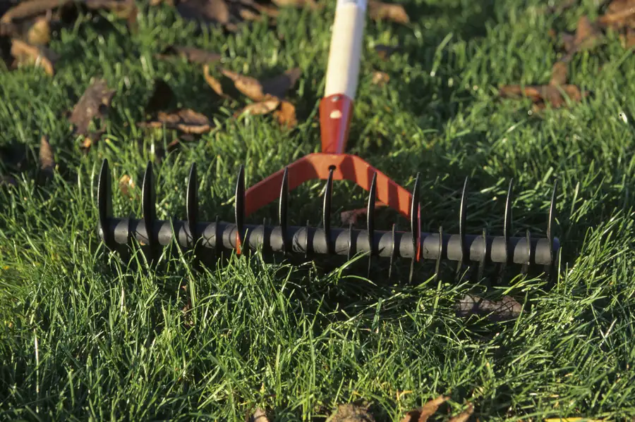 Quality Lawn Aeration Service Greeneville, TN Quality Lawn Aeration Service Greeneville, TN