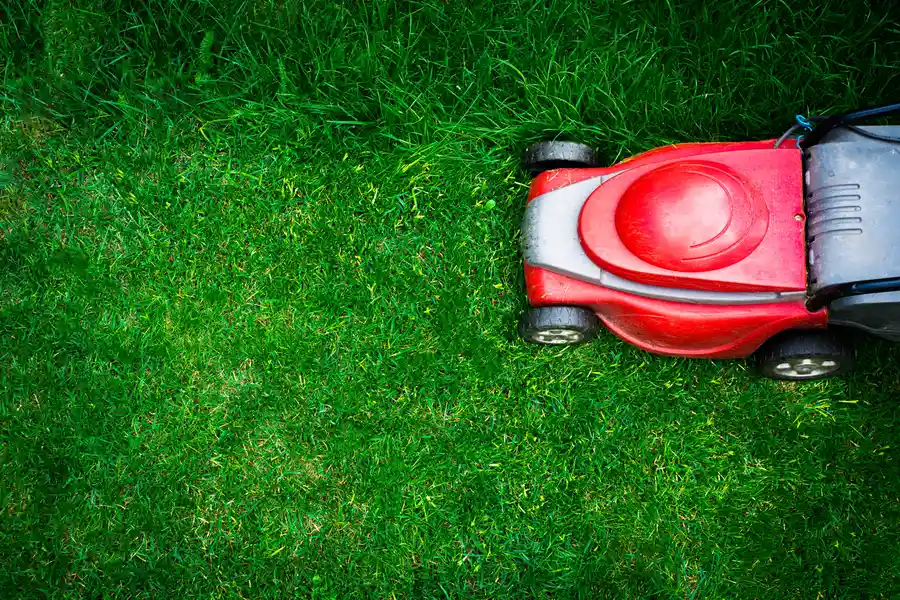 Reliable Lawn Mowing Service Greeneville, TN Reliable Lawn Mowing Service Greeneville, TN