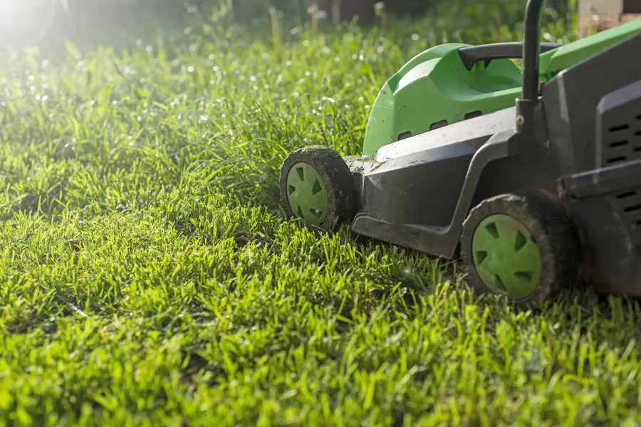 The Benefits Of Scheduling A Regular Lawn Mowing Service Greeneville, TN The Benefits Of Scheduling A Regular Lawn Mowing Service Greeneville, TN