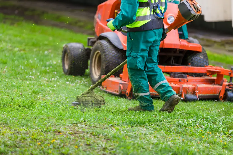 The Benefits Of Scheduling A Regular Lawn Mowing Service in Greeneville, TN The Benefits Of Scheduling A Regular Lawn Mowing Service in Greeneville, TN