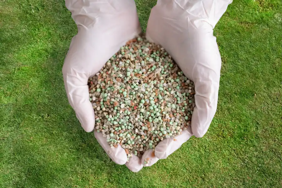 The Importance of Seasonal Lawn Fertilization Services in Greeneville, TN