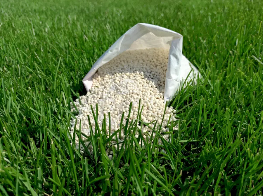 Why Homeowners Choose Lawn Fertilization Services for Healthy Lawns Greeneville, TN Why Homeowners Choose Lawn Fertilization Services for Healthy Lawns Greeneville, TN