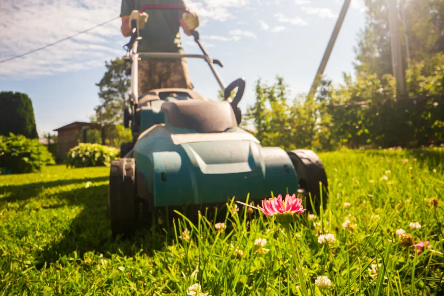 Why Homeowners Rely on Landscape Maintenance Service for Curb Appeal Greeneville, TN Why Homeowners Rely on Landscape Maintenance Service for Curb Appeal Greeneville, TN