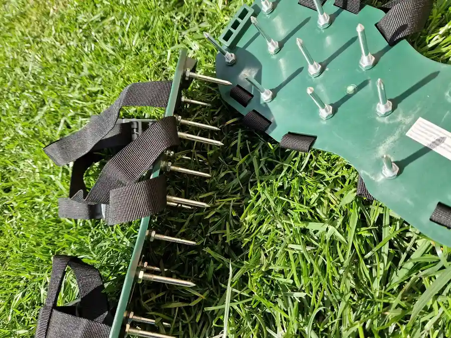 Why Your Grass Thrives After A Lawn Aeration Service Greeneville, TN Why Your Grass Thrives After A Lawn Aeration Service Greeneville, TN