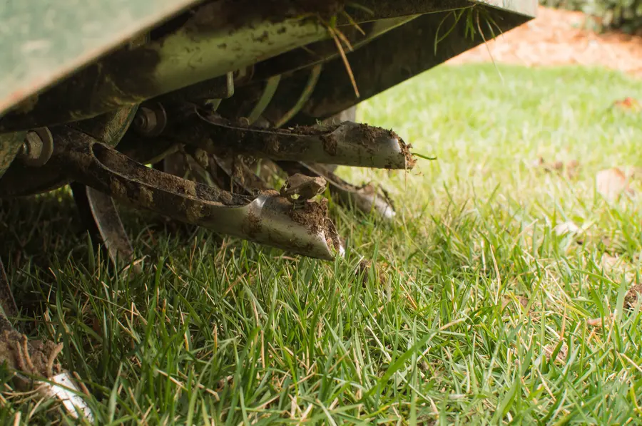 Why Your Grass Thrives After A Lawn Aeration Service in Greeneville, TN Why Your Grass Thrives After A Lawn Aeration Service in Greeneville, TN