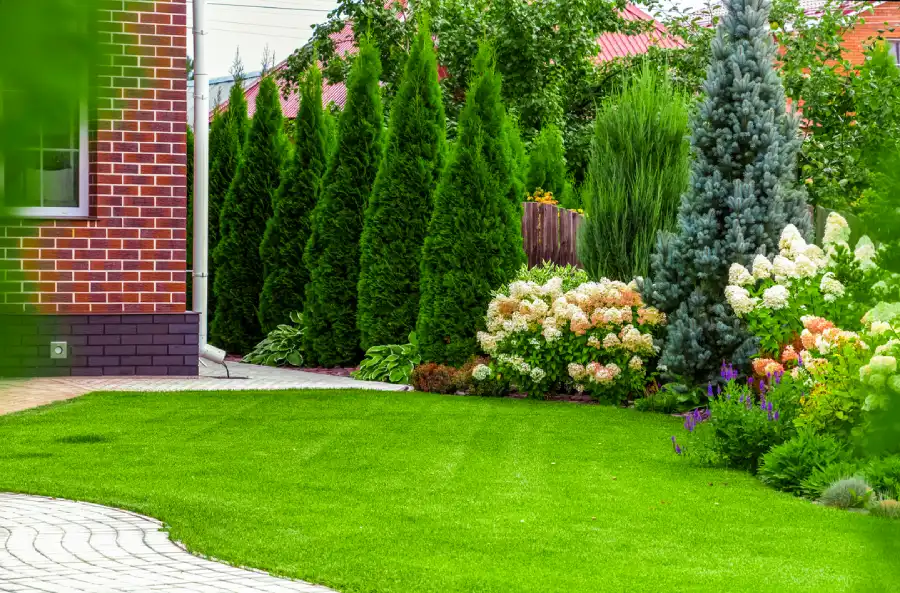 Affordable Landscape Maintenance Service in Greeneville, TN