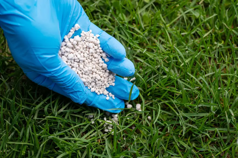 Excellent Lawn Fertilization Services in Greeneville, TN
