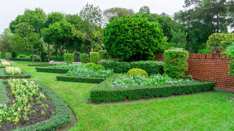 Outstanding Landscape Maintenance Service in Greeneville, TN