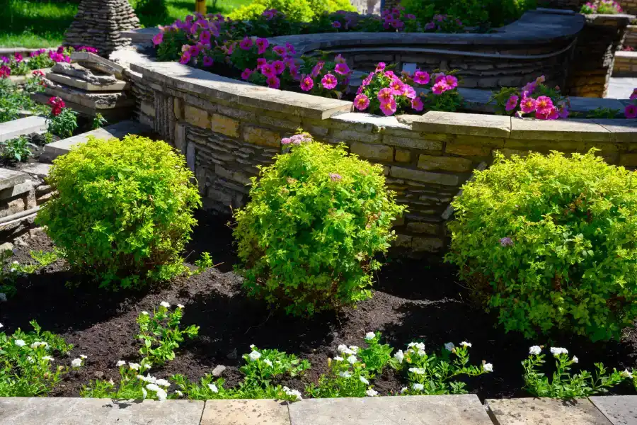 Professional Landscape Maintenance Service in Greeneville, TN
