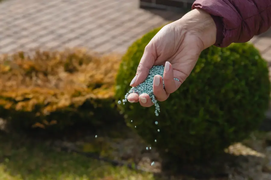 Reliable Lawn Fertilization Services in Greeneville, TN